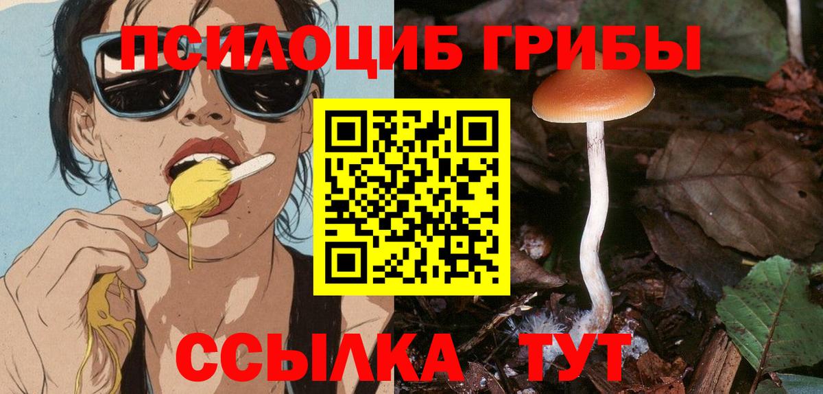 Галлюциногенные грибы Psilocybine cubensis  Вход с VPN  Елабуга 